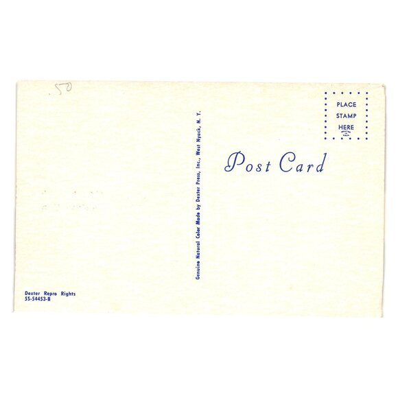 Vintage Dexter Press Postcard Ruidoso New Mexico Wildlife Deer Bear Chipmunk - Picture 2 of 2